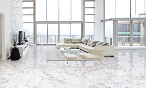 Full Body / Colour Body